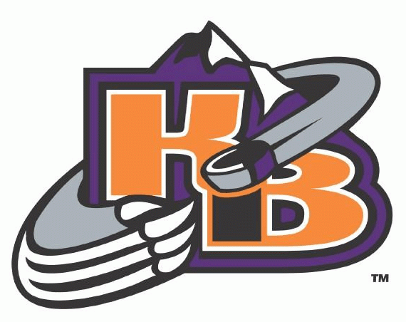 knoxville ice bears 2004-pres alternate logo iron on transfers for clothing